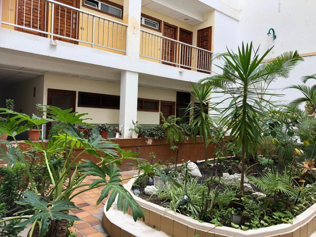 Green Beach Las Canteras Лас Палмас де Гран Канария Екстериор снимка
